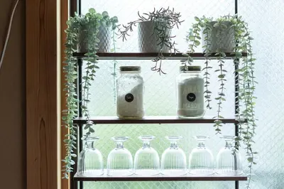 a shelf with several glass jars and potted plants at The Ivy Apartments, BEST Location, Yoyogi!! in Tokyo