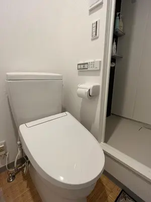 a bathroom with a white toilet and a shower at DainHostel2 in Tokyo