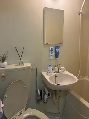a bathroom with a white toilet and a sink at Garden Otsuka302 -\u30ac\u30fc\u30c7\u30f3\u5927\u585a- \u5927\u585a\u99c5\u5f92\u6b693\u5206 JR\u6cbf\u7dda\u3067\u6c60\u888b\u307e\u30677\u5206 \u7121\u6599Wi-Fi\u3068\u30a2\u30e1\u30cb\u30c6\u30a3\u63d0\u4f9b in Tokyo