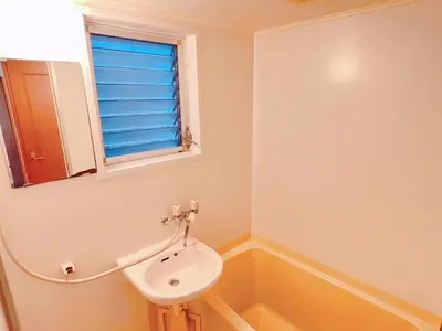 a bathroom with a sink and a bath tub at Brown vesel ebisu in Tokyo