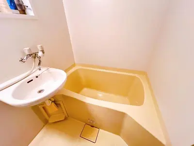 a bathroom with a sink and a bath tub at Brown vesel ebisu in Tokyo