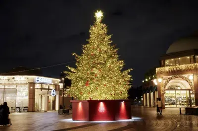 a christmas tree in the middle of a street at Brown vesel ebisu in Tokyo