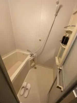 a pair of slippers in a bathroom with a shower at \u30e1\u30be\u30f3\u30c9\u30ea\u30d0\u30fc\u30b8\u30e5201 in Tokyo