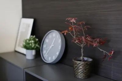 a clock and a potted plant on a table at Shinjuku Kabukicho Harmony Inn in Tokyo