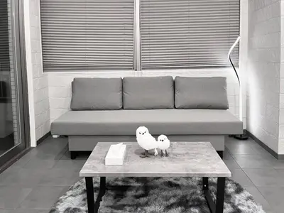 two birds sitting on a coffee table in front of a couch at Shibuya Harajuku Big House in Tokyo
