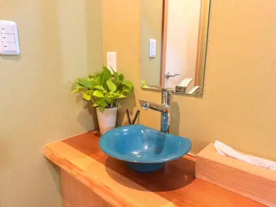 a bathroom with a blue sink and a potted plant at \u6771\u4eac\u96f7\u9580\u30fc\u5343\u306e\u68eeAsakusa in Tokyo