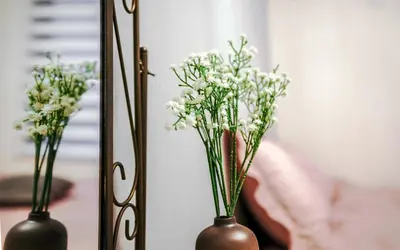 two vases with flowers in them in front of a mirror at B12\u6c60\u888b\u4e2d\u5fc3 \u4e09\u5ba4 \u4ea4\u901a\u4fbf\u5229 \u8f66\u7ad93\u5206\u949f 3 rooms Ikebukuro center 3 mins to ST Max 8P \u76f4\u8fbe\u65b0\u5bbf \u6d89\u8c37 \u8868\u53c2\u9053 \u6c60\u888b \u4e0a\u91ce \u4ee3\u4ee3\u6728 \u94f6\u5ea7 \u539f\u5bbf in Tokyo