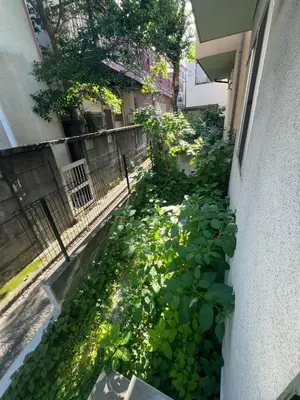 a garden filled with lots of green plants next to a building at OHAYO Hotel \u5927\u68ee\u897f in Tokyo