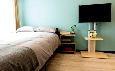 a bedroom with a bed and a flat screen tv at Skyfeel Okubo A in Tokyo