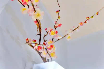a vase filled with flowers in a room at \u8c4a\u5cf6\u6c11\u5bbf206 in Tokyo