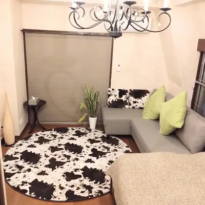a living room with a couch and a black and white rug at Casa Tokyo -Arakicho- in Tokyo