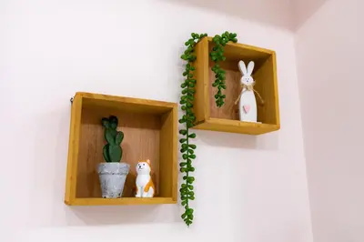a pair of wooden shelves with a cactus and rabbits at 22, Itabashi, Entire house for rent, \u677f\u6a4b in Tokyo