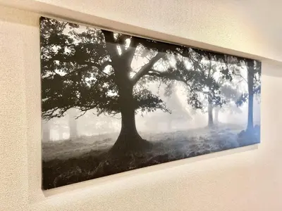 a picture of a tree hanging on a wall at kabukicho 317 SJ0276 in Tokyo