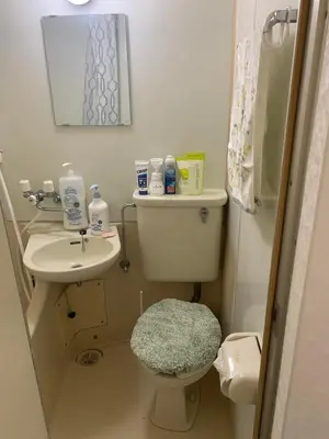 a small bathroom with a toilet and a sink at Lions B in Tokyo
