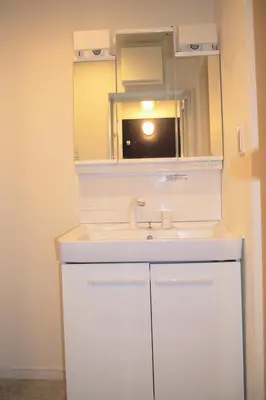 a bathroom with a white sink and a mirror at The FLAT 103 in Tokyo