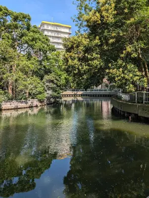 a river with trees and a building in the background at UMIBE Apartment in Tokyo