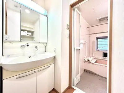 a bathroom with a sink and a mirror at Nishiwaseda 501-SJ0185 in Tokyo
