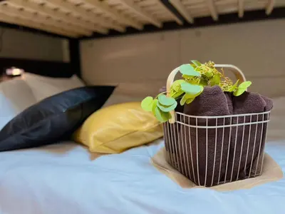 a potted plant sitting on top of a bed at Amika First102 AF12 in Tokyo
