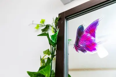 a butterfly sticker on a window with a plant at 38, Kyojima 3, Entire house for rent, \u4eac\u5cf63\u4e01\u76ee in Tokyo