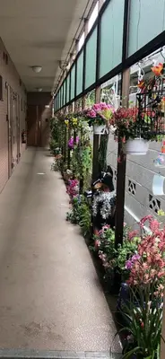 a hallway of a building with flowers and plants at \u6771\u4eac\u306e\u6e2f\u7063-Tokyo Harbor -28 square meter king size garden room103 in Tokyo