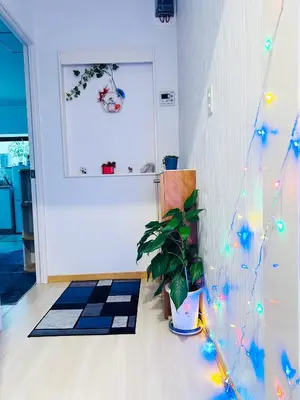 a living room with a plant and a christmas tree at Ueno Yuyuhouse 1Room for rent, Close to Senso-ji Temple,Kaminarimon Gate,Kappabashi Dougu Street,Akihabara,Shinjuku and Disneyland in Tokyo