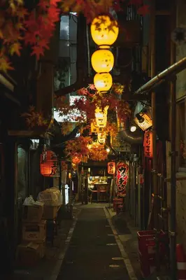 an alley with lanterns and lights on a street at GLOU Shinjuku Family - Urban Stay in Tokyo Shinjuku Area, Walking distance of Kabukicho in Tokyo