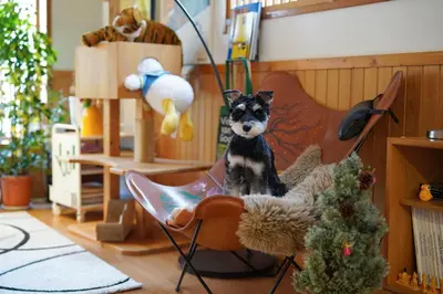 a toy dog sitting on a rocking chair at Artful Cats house in Tokyo