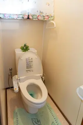 a bathroom with a toilet with a plant on the lid at \u6c60\u888b\u672c\u753a\u4e00\u8ed2\u5bb6 \u6700\u59276\u540d WiFi \u5317\u6c60\u888b\u99c5\u5f92\u6b696\u5206 \u6c60\u888b\u99c5\u96fb\u8eca1\u5206 in Tokyo