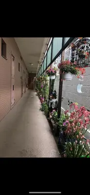 a hallway of a building with flowers and plants at \u65b0\u5bbf\u5ead\u9662\u306e\u5c4b-Shinjuku Garden Home -28 square meters king size bed garden room105 in Tokyo