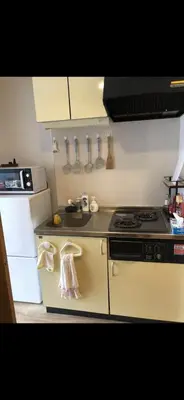 a small kitchen with a stove and a sink at \u65b0\u5bbf\u5ead\u9662\u306e\u5c4b-Shinjuku Garden Home -28 square meters king size bed garden room105 in Tokyo