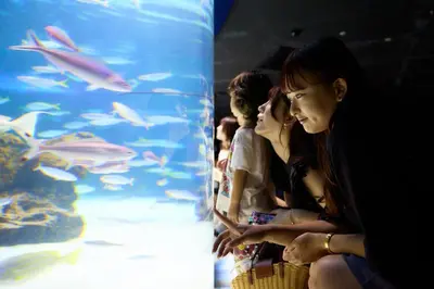 a group of people sitting in front of an aquarium at \u30eb\u30c1\u30eb\u6c60\u888b\u6771\u4eac in Tokyo
