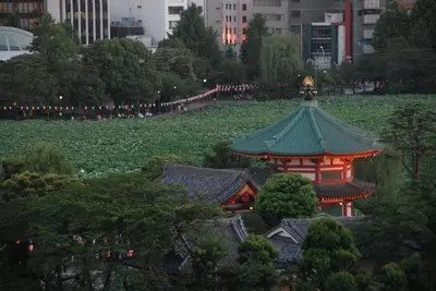 a pagoda with a green roof in a city at 1棟貸切 宮元 みやげん in 浅草&雷門 - Miyagen in Asakusa&Kaminarimon- 浅草駅徒歩4分 上野や秋葉原までアクセス良好 最大16名 in Tokyo