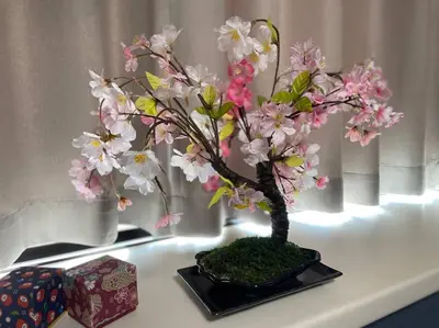 a bonsai tree with pink flowers on a table at \u7acb\u77f35\u4e01\u76eem401 in Tokyo