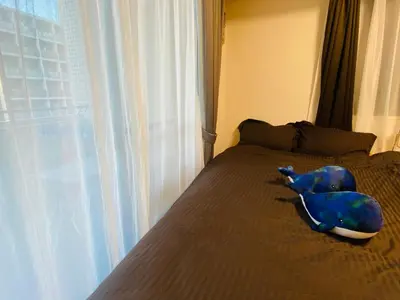 a blue dog laying on a bed next to a window at Shinjuku House in Tokyo