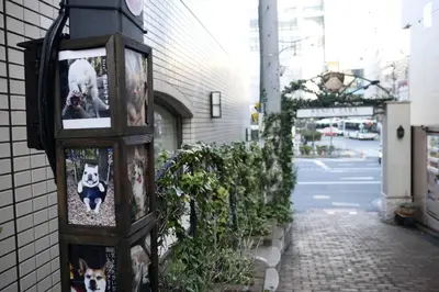 a pillar with pictures of dogs on the side of a building at \u677e\u304c\u4e181\u4e01\u76ee in Tokyo