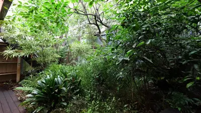 a garden with lush green trees and plants at Charming Guesthouse in the Heart of Okubo \u4e36Steps to Metro and Convenient Travel! YoS4 in Tokyo