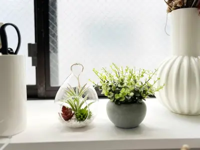 three vases with plants in them on a table at tnw\u5357\u9577\u5d0e3\u4e01\u76ee in Tokyo