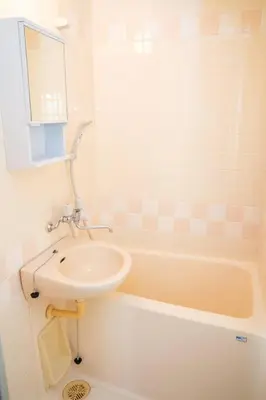 a bathroom with a sink and a bath tub at 3\u968e \u5c0f\u5ca9\u99c5\u5f92\u6b6915\u5206 \u53ce\u5bb94\u4eba \u6210\u7530\u7fbd\u7530\u304b\u3089\u30d0\u30b9\u76f4\u901a in Tokyo