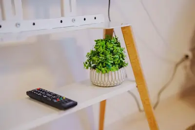 a plant on a shelf next to a remote control at QH303, Newly renovated hotel, direct access to Ueno, Asakusa, Disneyland, Airport in Tokyo