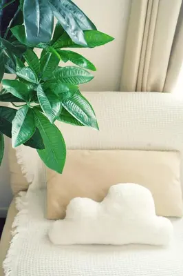 a green plant sitting on top of a white couch at Home Story in Tokyo Kanametyo-Ikebukuro-Ginzaまで直通&東京屋語 in Tokyo