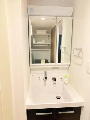 a bathroom with a white sink and a mirror at Shinjuku Tokyo Holiday Hotel in Tokyo