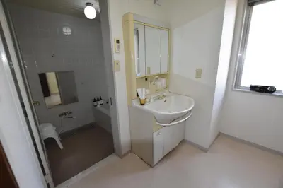 a bathroom with a sink and a shower at Randor Residence Tokyo Grand in Tokyo