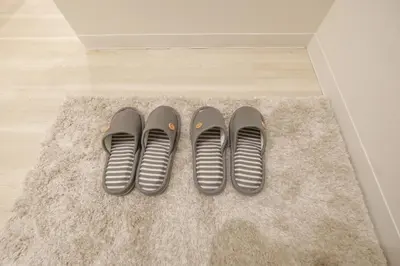 two pairs of shoes are sitting on a rug at Six7 APT\u4e09\u30ce\u8f2a in Tokyo