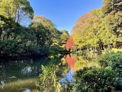 a river with trees reflecting in the water at \u9ad8\u5186\u5bfa\u4e2d\u91ceVilla in Tokyo