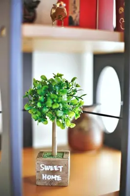 a toy tree sitting on top of a table at \u30a2\u30ad\u30e9\u5546\u4e8b in Tokyo