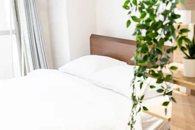 a bedroom with a bed with white sheets and a plant at Shinjuku myroom in Tokyo