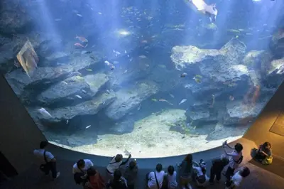 a group of people looking at a large aquarium at \u97d3\u56fd\u65b0\u5927\u4e45\u4fdd\u901a\u308a\u3059\u3050\u306e\u4e00\u8ed2\u5bb6\u3067\u697d\u3057\u3080\u6771\u4eac\u65c5\u884c8\u540d\u69d8 Korea Shinokubo off the street A house for 8pax in Tokyo