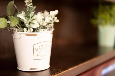 a white potted plant sitting on a table at Jarudan Building 2F - Vacation STAY 17316 in Tokyo