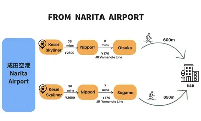 a schematic diagram of a protein from nataria airport at COMMA HOUSE Otsuka 101 in Tokyo