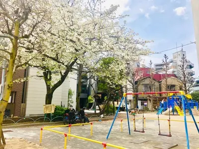 a playground with a tree with white flowers on it at AT Asakusa in Tokyo